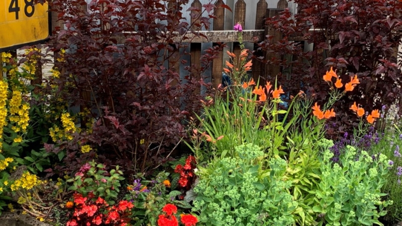 Llanwrtyd Wells Railway Station